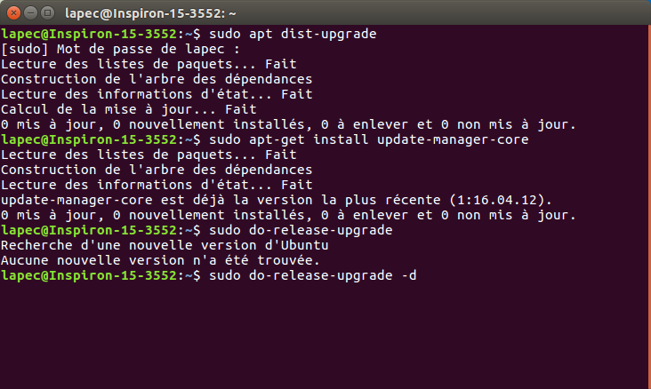 image montrant la fenêtre Terminal avec les différentes commandes à exécuter et leur résultat