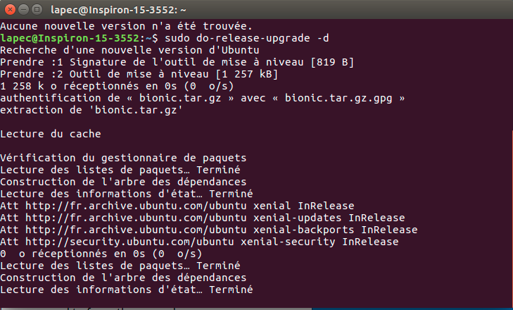 image montrant la fenêtre Terminal en train de télécharger l'outil de mise à niveau et d'analyser les dépendances
