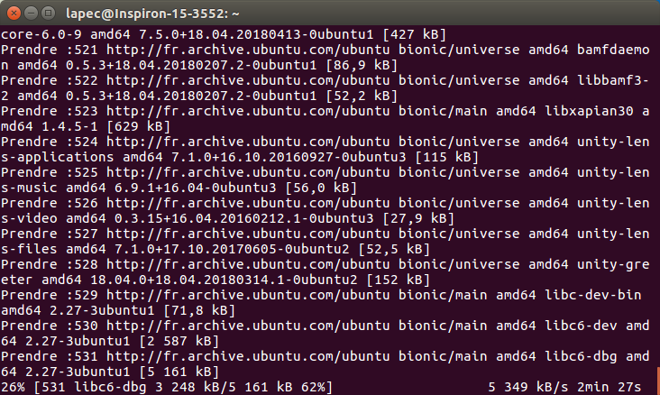 image montrant la fenêtre Terminal montrant le téléchargement des paquets d'installation