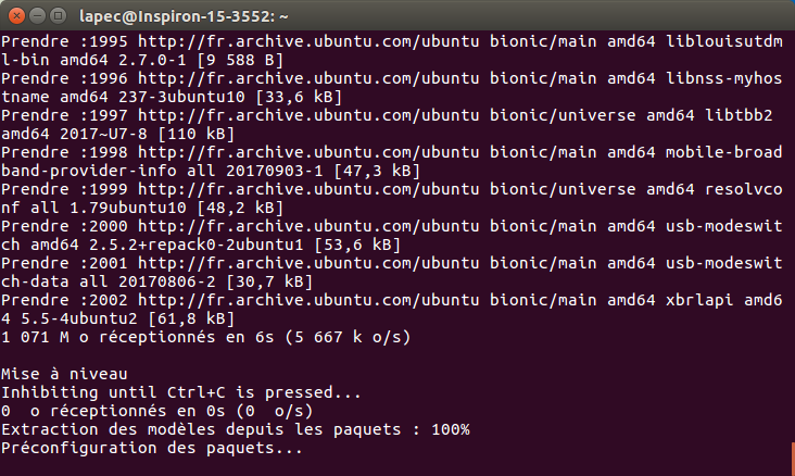 image montrant la fenêtre Terminal sur le point d'installer et de configurer les différents paquets téléchargés
