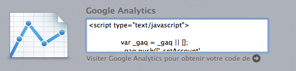 Image montrant le code à insérer dans la zone de texte pour activer les statistiques de Google analythics